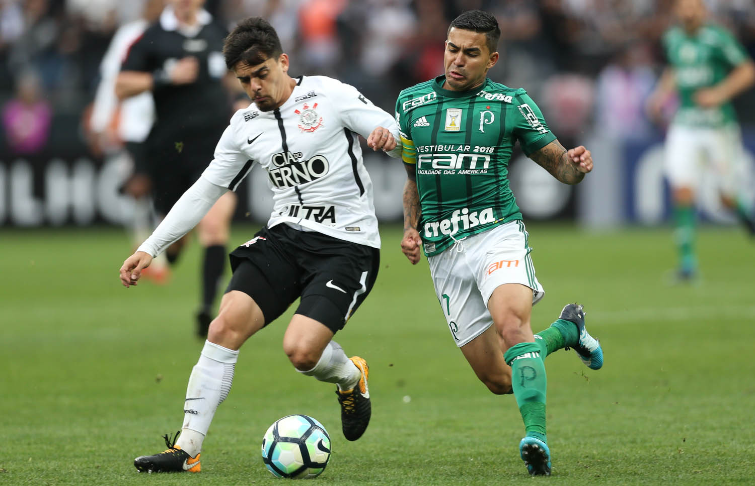  Palmeiras x Corinthians: saiba tudo sobre o Derby