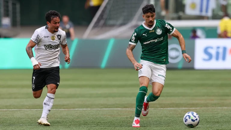 palmeiras-x-botafogo-foto-01-cesar-greco-palmeiras