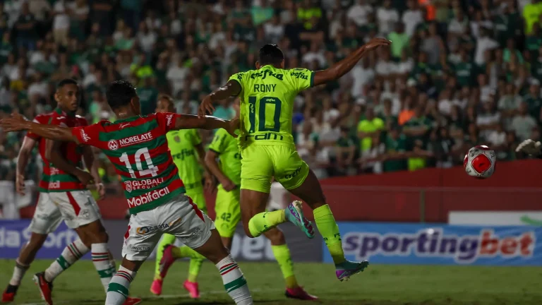 53558988334_2ce9861b00_k