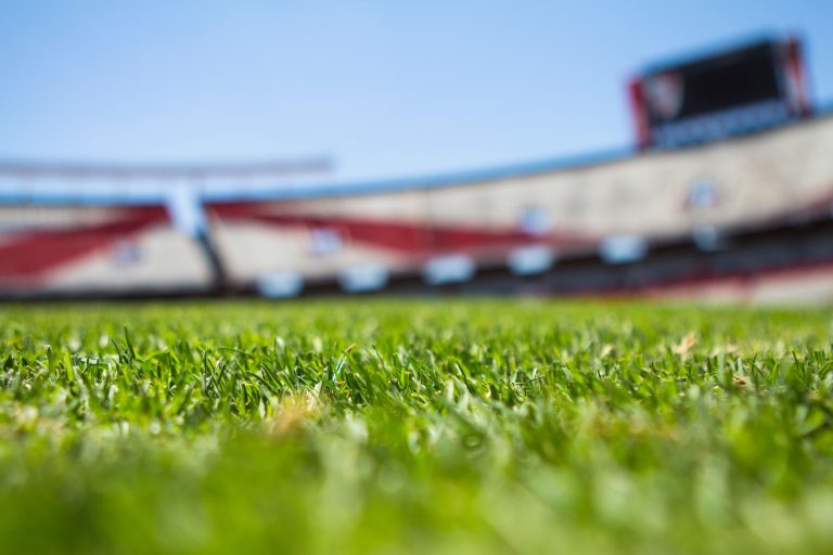 Gramado estádio campos