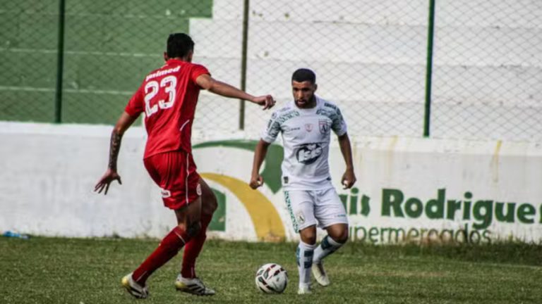 Grupo 8